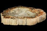 Colorful Polished Petrified Wood Dish - Madagascar #142803-1